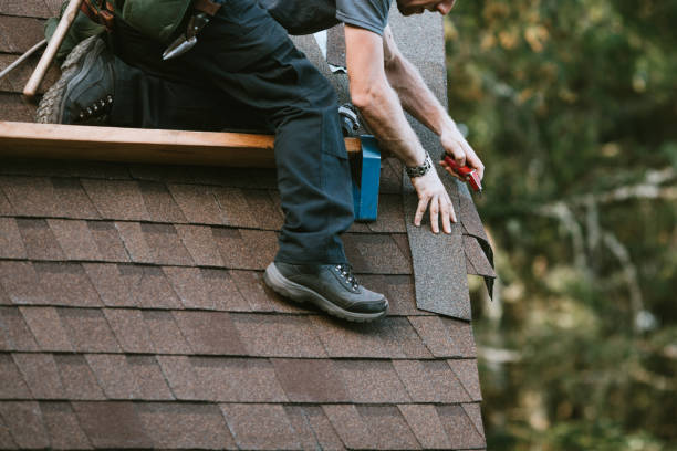 Best Roof Gutter Cleaning  in Barbourville, KY